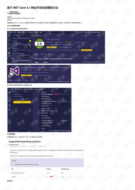基于.netcore3.1网站开发和部署的方法资源 csdn文库